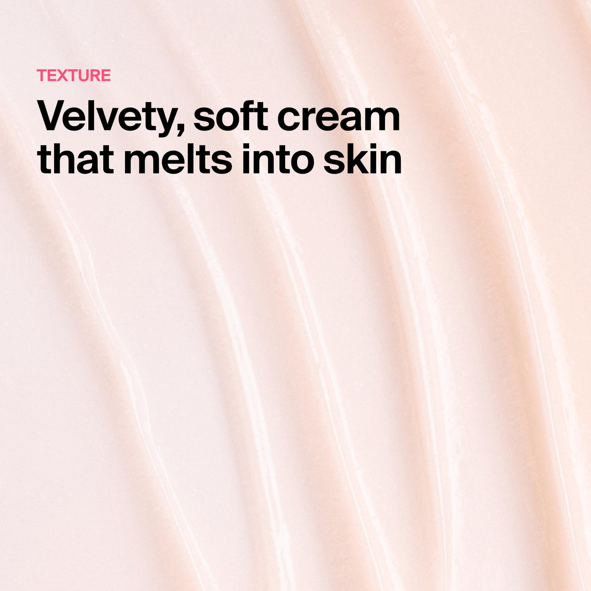 Meebak Camellia Cream, Daily Exfoliating Pore Cream, Night Cream Meebak