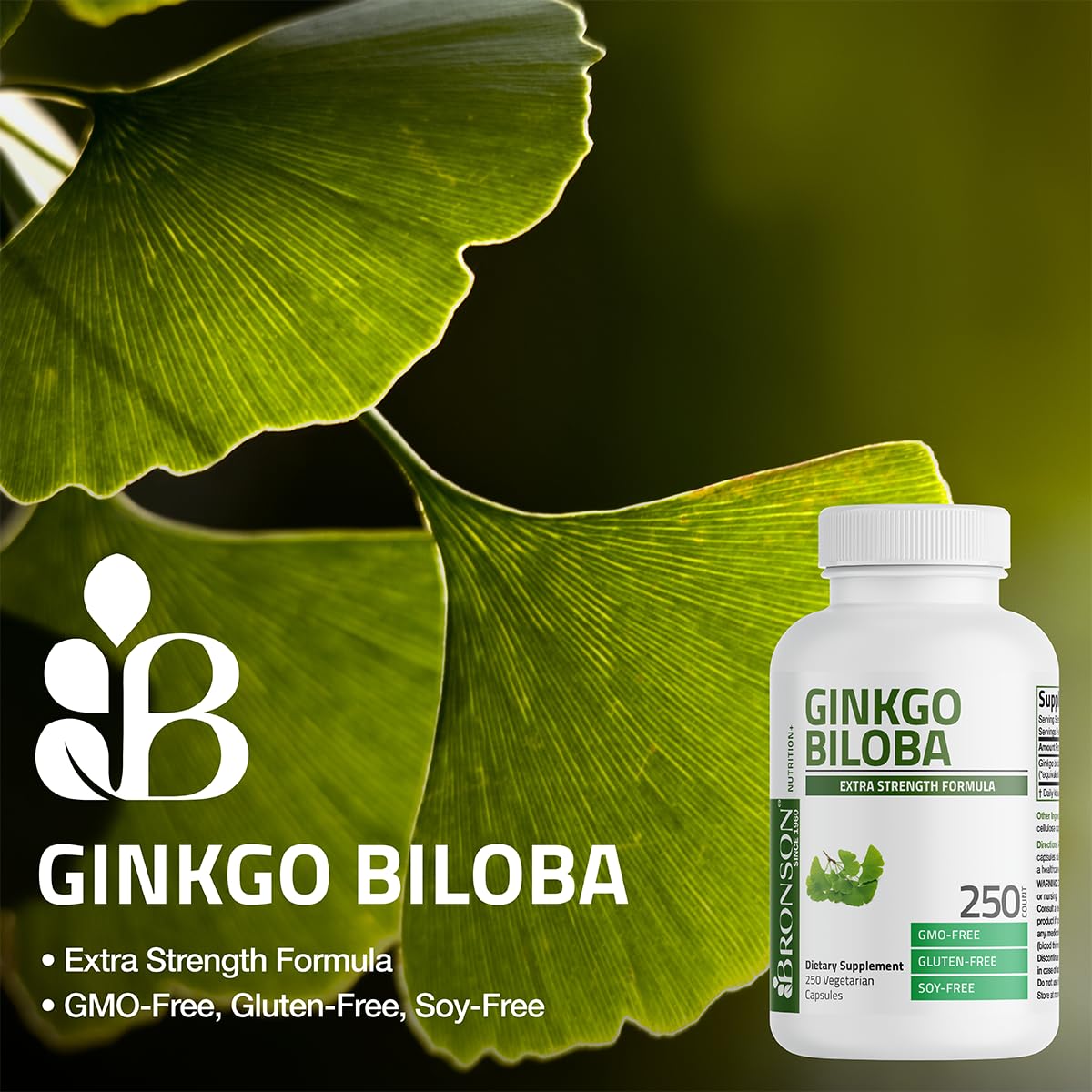 Bronson Ginkgo Biloba Extra Strength Supports Brain Function & Memory Support, 120 Vegetarian Capsules Bronson