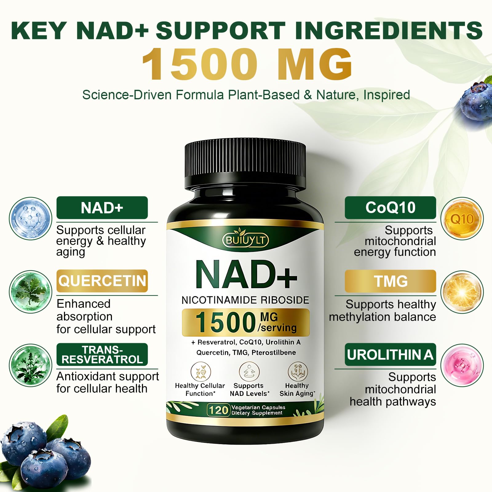 BUIUYLT NAD+ Supplement 1500mg, NR NMN Replacement with Resveratrol, Urolithin A, CoQ10 & Quercetin for Cellular Energy, Healthy Aging & Stamina for Women & Men - 120 Capsules BUIUYLT buy australia supplements