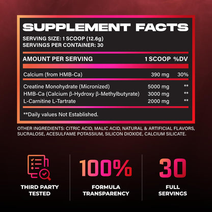 Huge Creatine HMB + LCLT, 5g Micronized Creatine Monohydrate with 3g HMB & 2g L-Carnitine L-Tartrate for Muscle Growth, Increased Strength, Enhanced Recovery & Improved Performance (Fruit Punch)