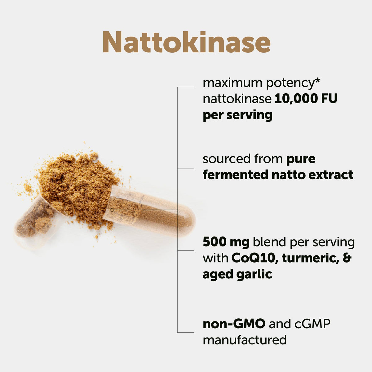 Micro Ingredients Nattokinase 10,000 FU Per Serving (Natural Natto Extract), 240 Vegetarian Capsules | with CoQ10, Turmeric, Aged Garlic & Pine Bark Extract Micro Ingredients