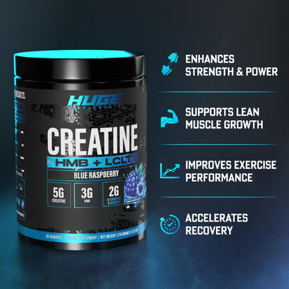 Huge Creatine HMB + LCLT, 5g Micronized Creatine Monohydrate with 3g HMB & 2g L-Carnitine L-Tartrate for Muscle Growth, Increased Strength, Enhanced Recovery & Improved Performance (Fruit Punch)