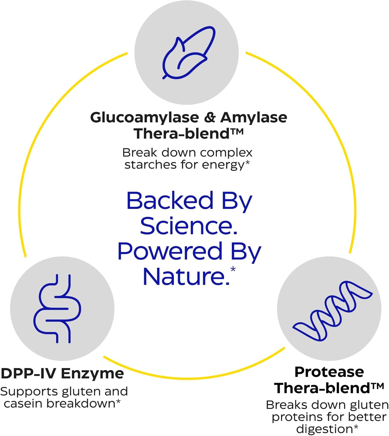 Enzymedica GlutenEase - Digestive Enzyme Supplement for Women & Men, Gluten & Casein Sensitivity Support, Enzymes for Digestion & Gut Health, Helps Gas & Bloating - 60 Caps Gsupps Australia