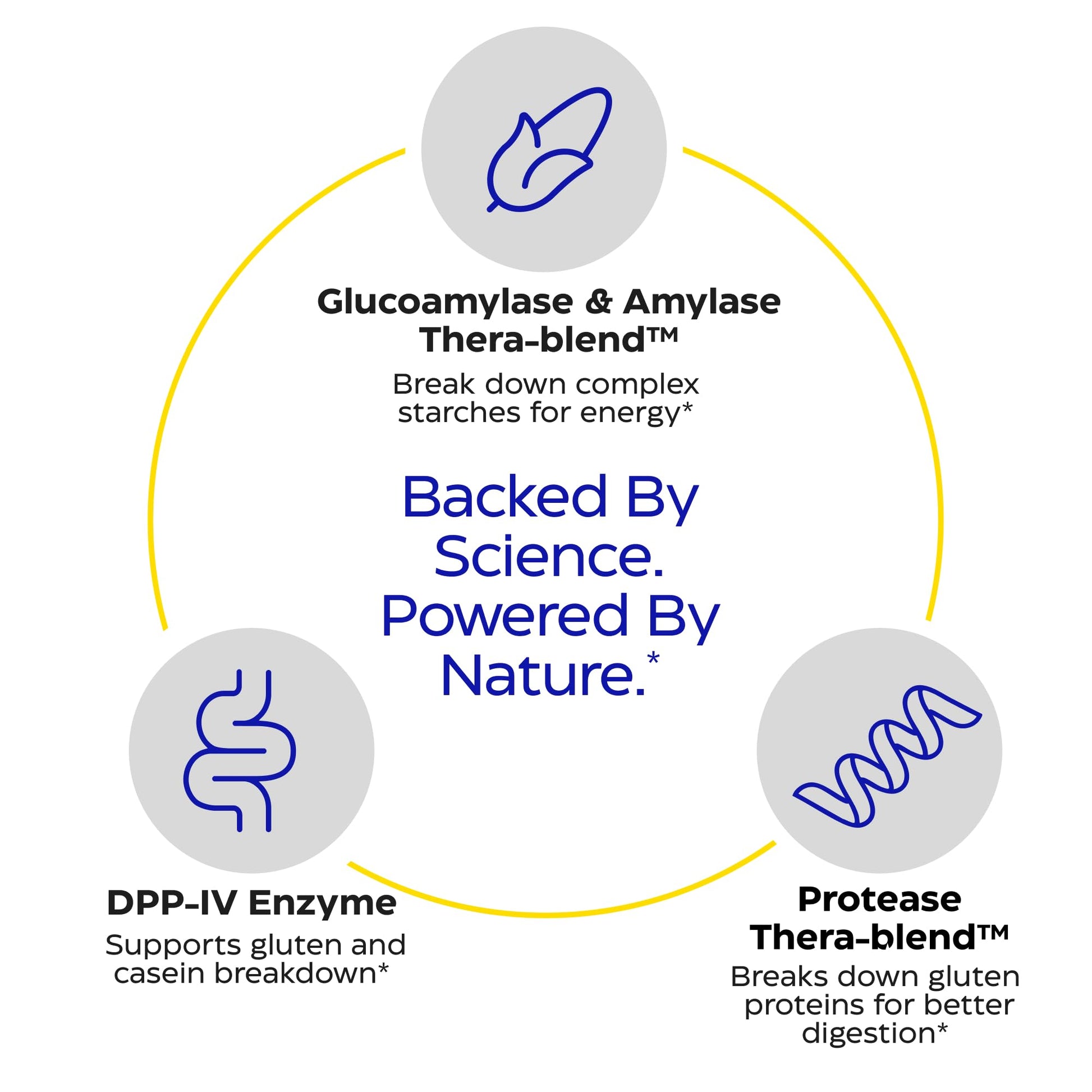 Enzymedica GlutenEase - Digestive Enzyme Supplement for Women & Men, Gluten & Casein Sensitivity Support, Enzymes for Digestion & Gut Health, Helps Gas & Bloating - 60 Caps Gsupps Australia