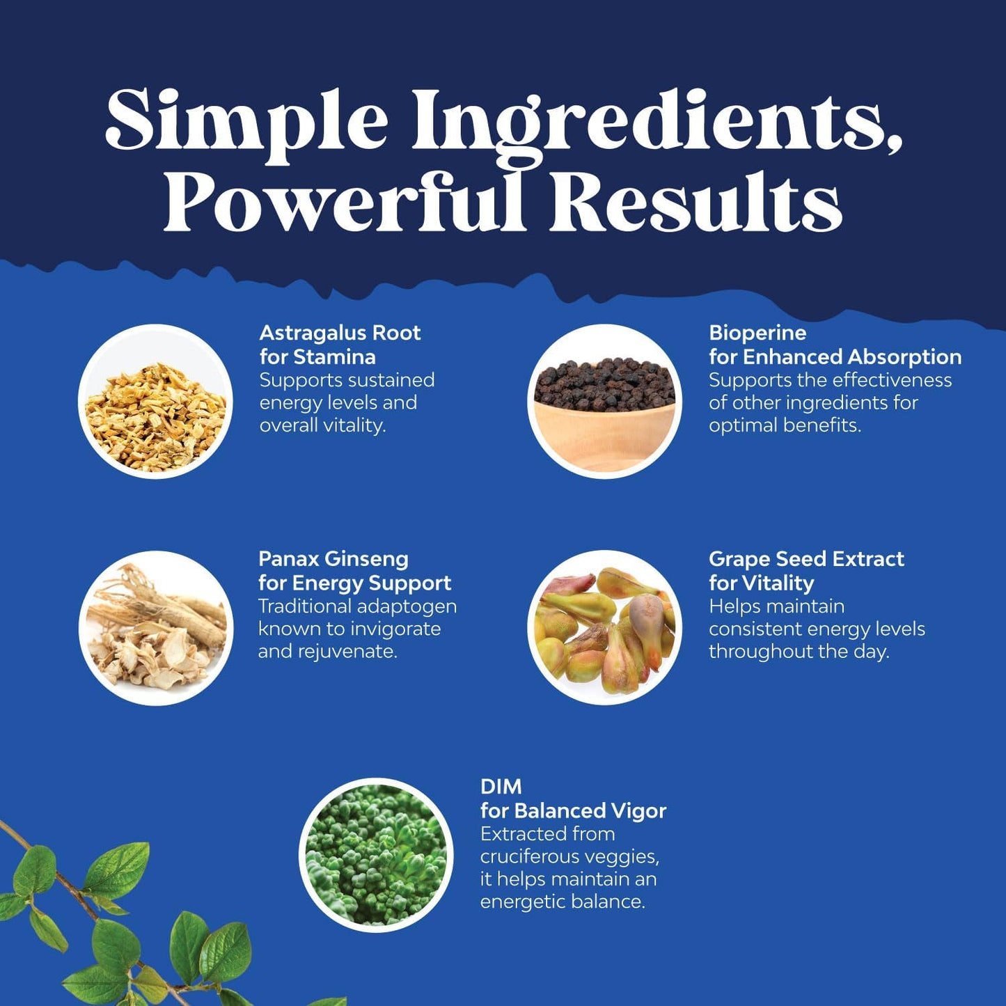 Natures Craft DIM Supplement for Men - DIM Estrogen Blocker for Men for Hormone Balance & Prostate Health - Diindolylmethane Complex with Panax Ginseng, Bioperine, Grapeseed & Astragalus - 120 Count Gsupps Australia