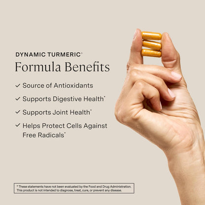 Stonehenge Health Dynamic Brain + Dynamic Turmeric Bundle Supports: Memory Acquisition, Retention, & Recall