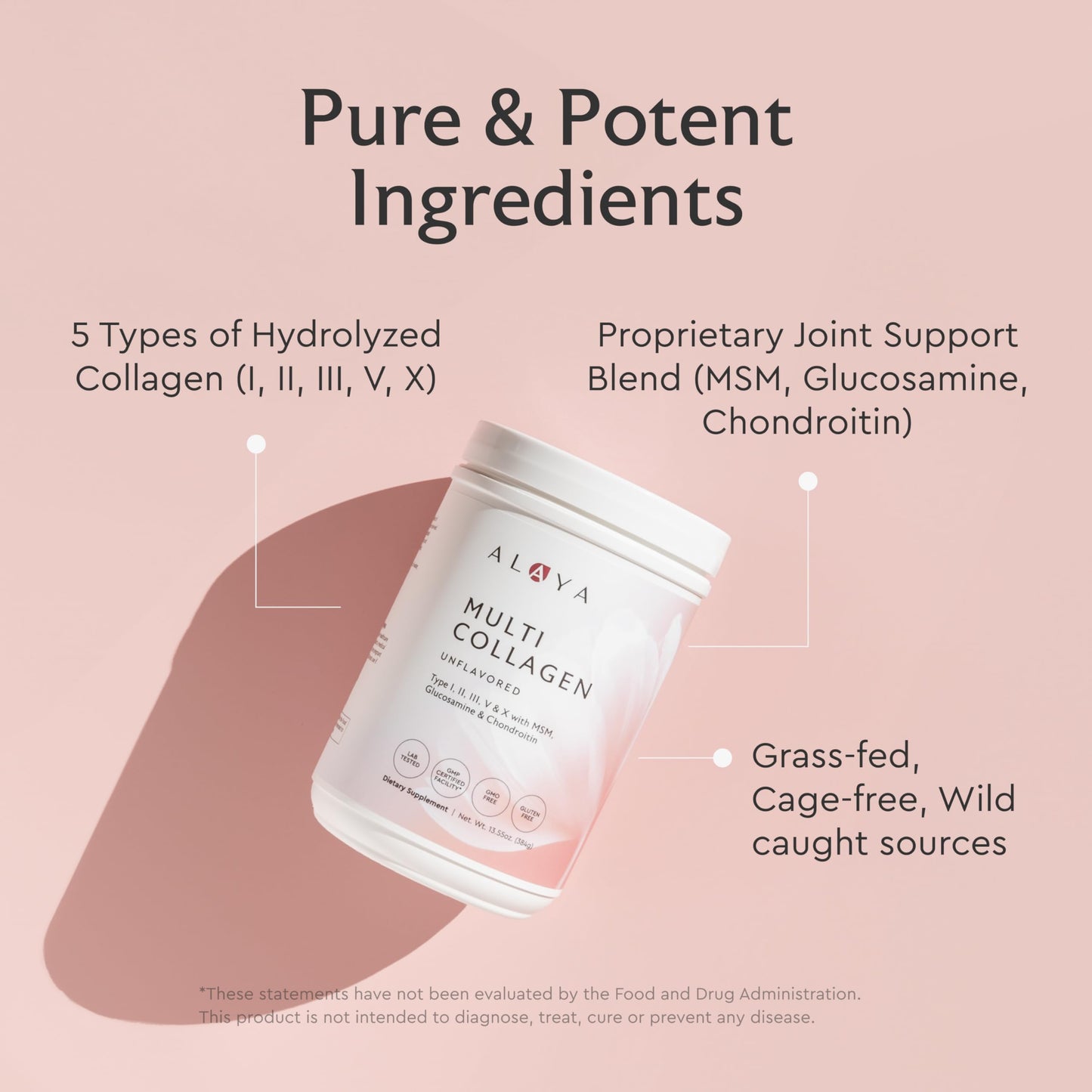 Alaya Multi Collagen Powder - Type I, II, III, V, X Hydrolyzed Collagen Peptides Protein Powder Supplement with MSM Alaya Naturals