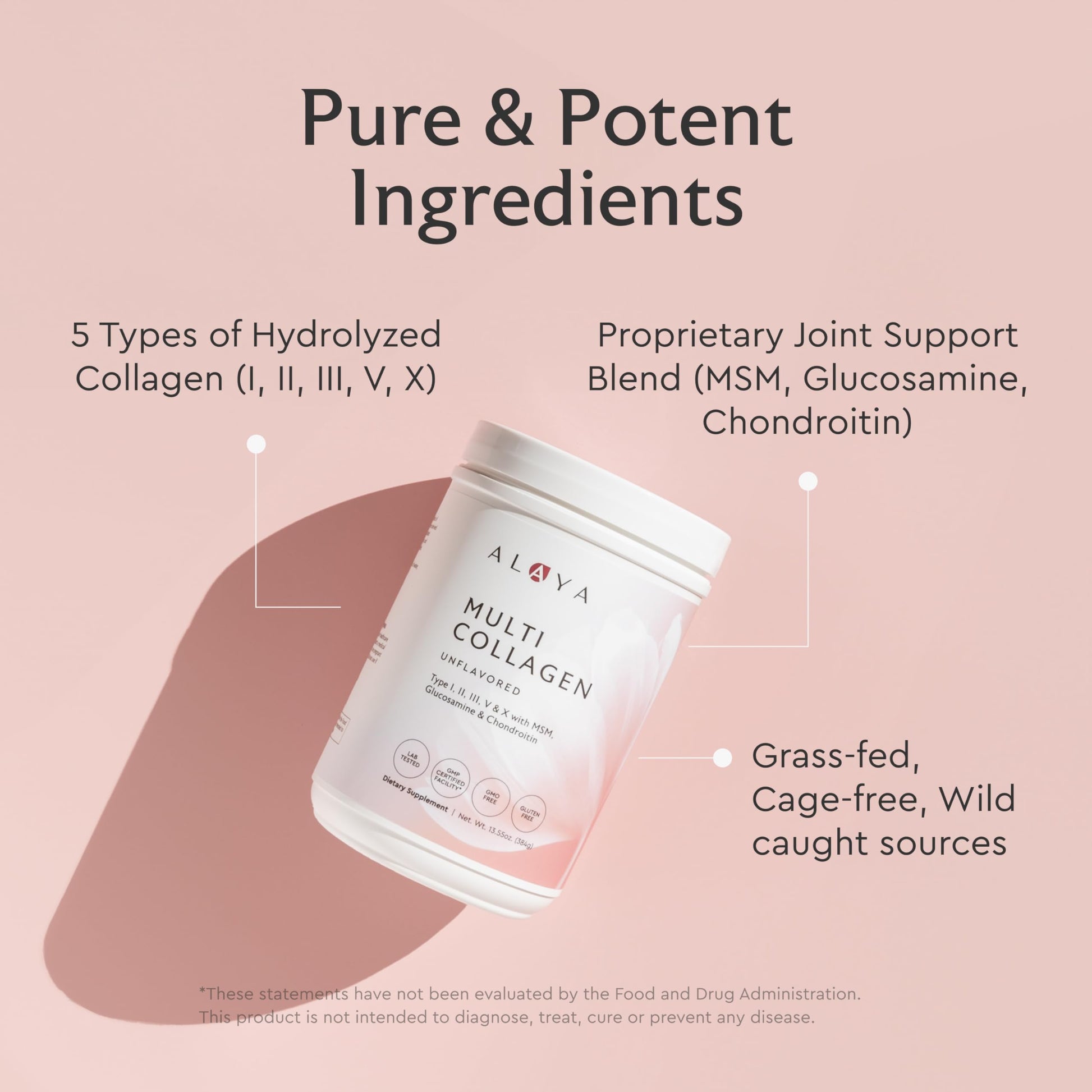 Alaya Multi Collagen Powder - Type I, II, III, V, X Hydrolyzed Collagen Peptides Protein Powder Supplement with MSM Alaya Naturals
