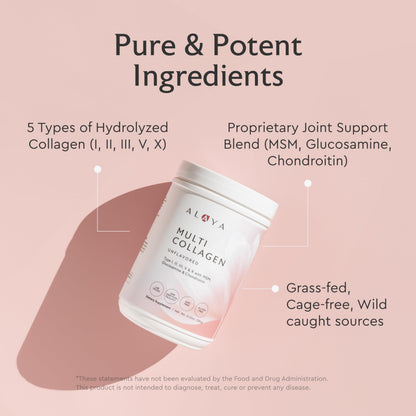 Alaya Multi Collagen Powder - Type I, II, III, V, X Hydrolyzed Collagen Peptides Protein Powder Supplement with MSM Alaya Naturals