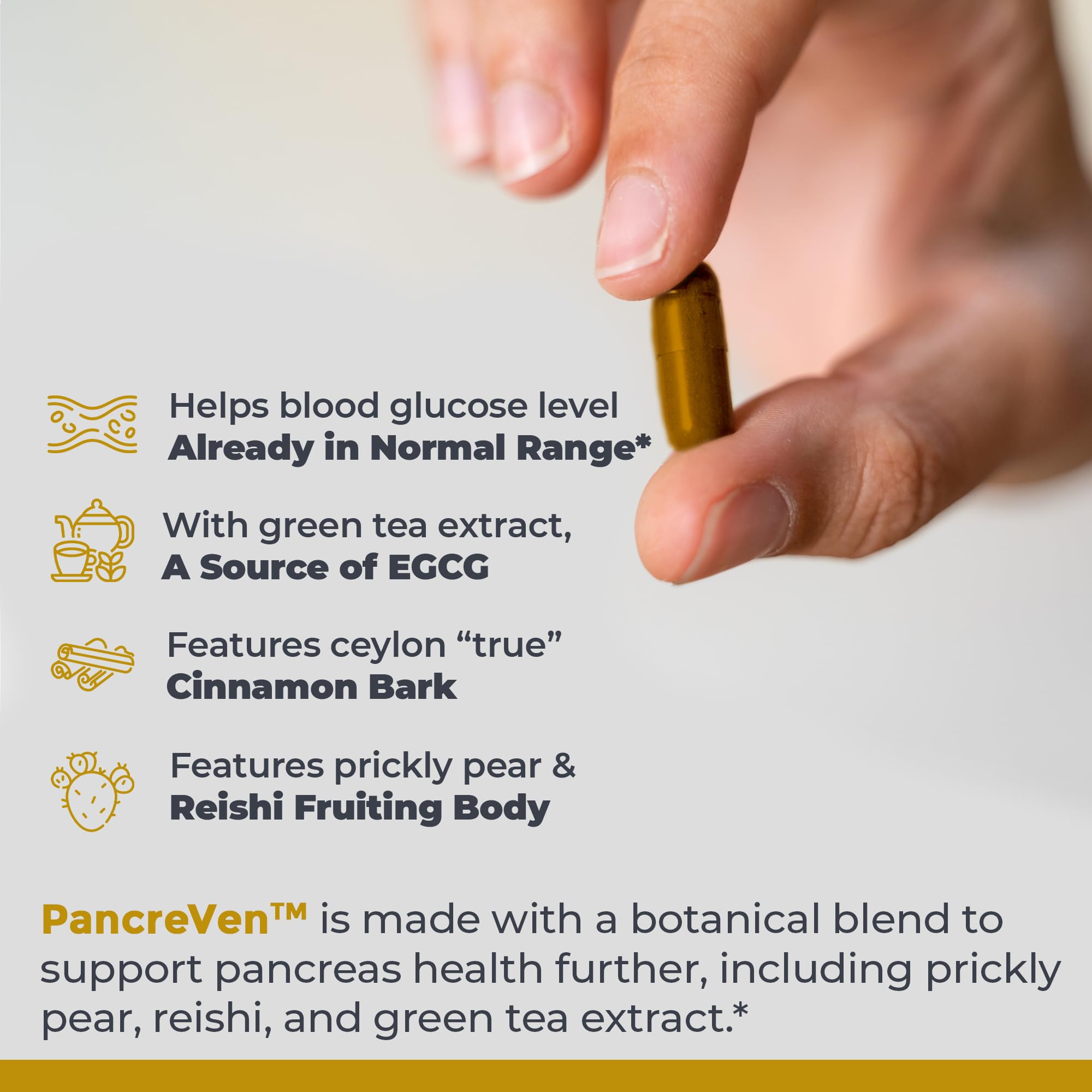 Premier Research Labs PancreVen - Pancreas Support, Pancreas Supplement, Cinnamon Supplements with Organic Ceylon Cinnamon & Prickly Pear to Aid Pancreas Health - 120 Vegetarian Capsules Premier Research Labs buy australia supplements