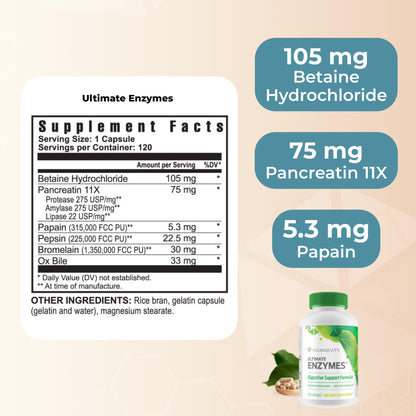 Youngevity Ultimate Enzymes® - Multi Enzymes for Digestion, Gas & Bloating Relief - Betaine HCl, Ox Bile, Pancreatine 10X, Papain 6M, Pepsin 1:3000 (120 Capsules) Youngevity