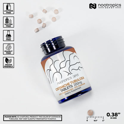 Nootropics Depot Cistanche tubulosa Tablets | 200mg | 60 Count | Minimum 50% Echinacoside + 10% Acetoside (Verbascoside) | Promotes Physical Strength and Energy | Promotes Vitality