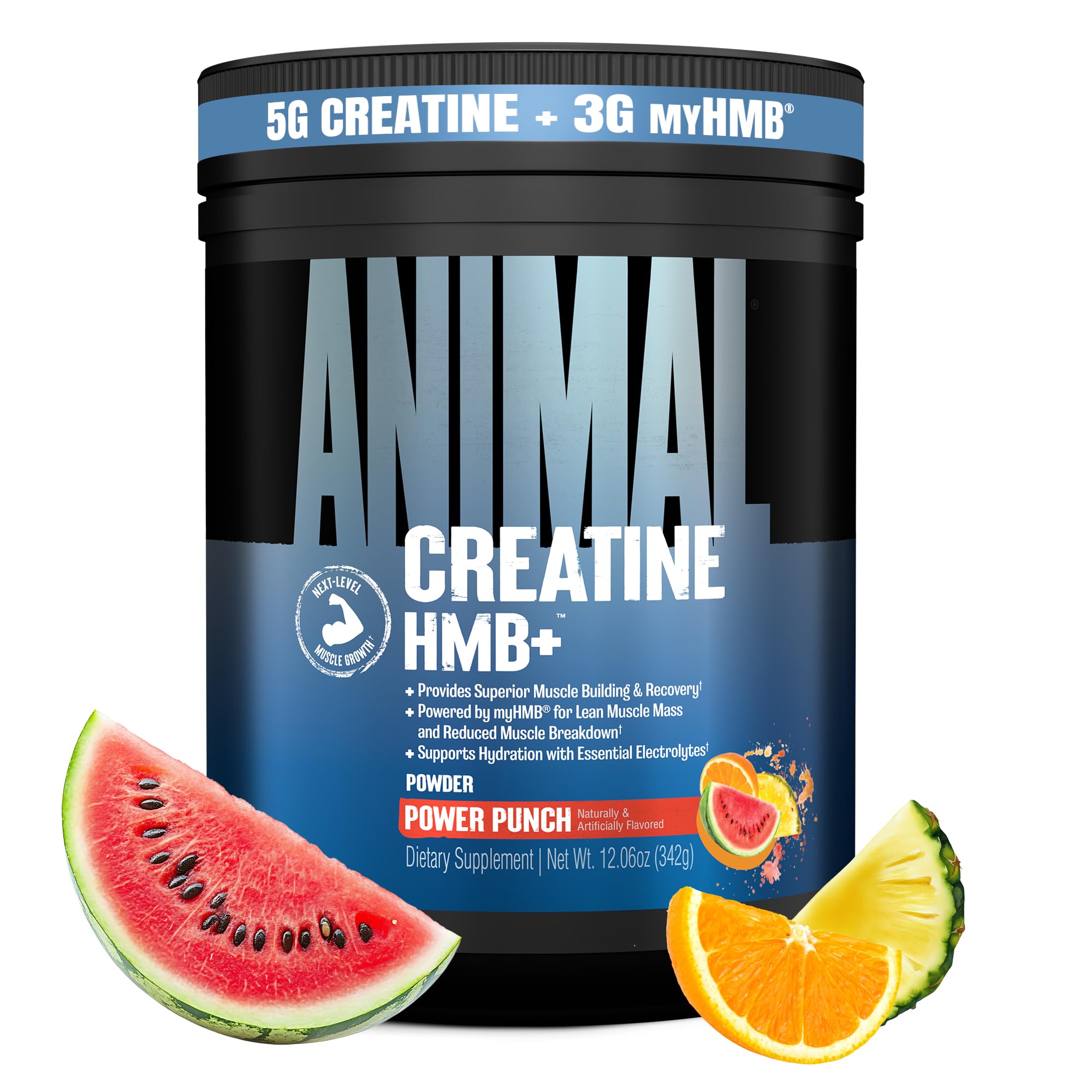 Animal Creatine HMB Powder – 3g myHMB + 5g Creatine with Electrolytes for Recovery & Daily Energy – Power Punch Flavor, 30 Servings Animal buy australia supplements