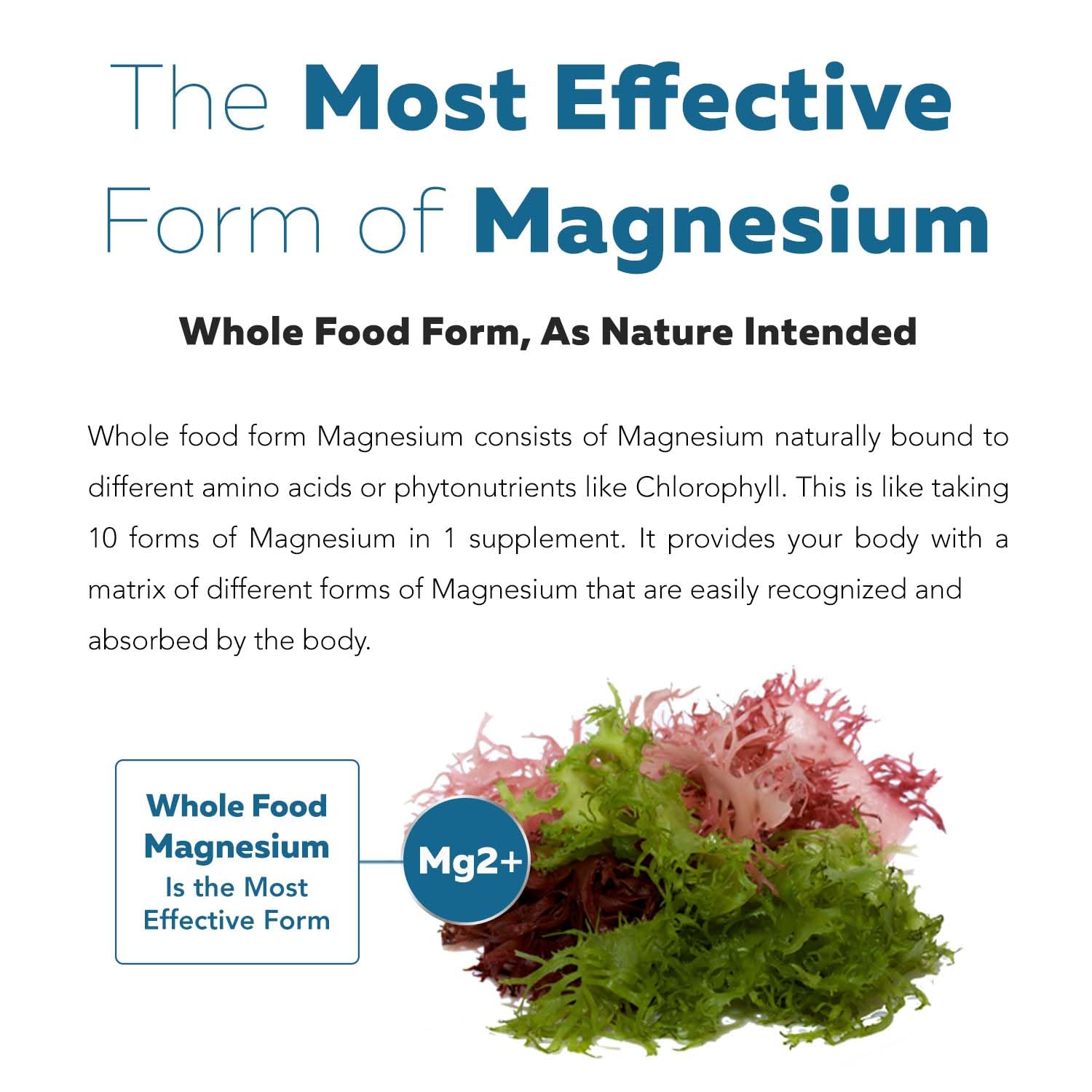 Organic Whole Food Magnesium Supplement - Plant-Based, Organic Sea Vegetable Complex - 250 mg Per Serving | Water Extracted | Gentle on Stomach | Supports Energy, Sleep, Muscle, Heart - 60 Capsules Triquetra Health buy australia supplements