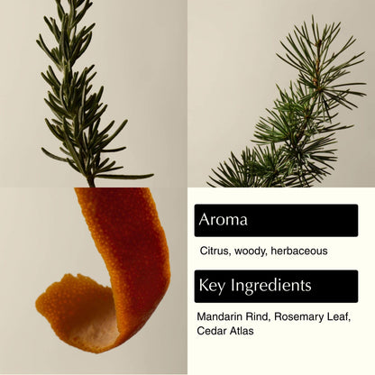 Aesop Resurrection Aromatique Hydrating Hand Wash | Gentle Non-Drying Hand Soap with Mandarin Rind, Rosemary, & Lavender Aesop