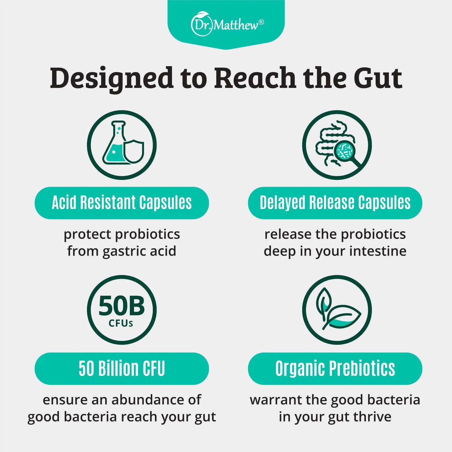 Prebiotics and Probiotics: Lactobacillus Gasseri, Lactobacillus Rhamnosus, Plantarum, Casei, Bifidobacterium longum, lactis, infantis. Probiotic Prebiotic, Dr. Matthew
