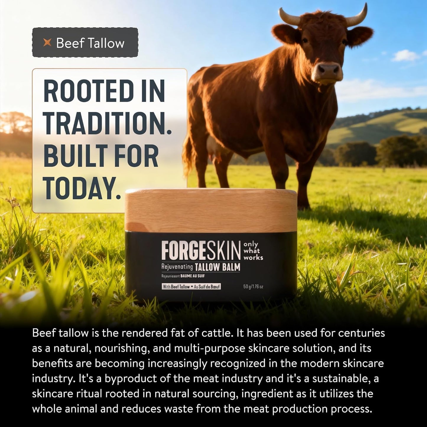 Forge Skin® Wrinkle Defense Beef Tallow Balm for Men [TALLOW-BASED] Moisturizer for Face Hydration - Hydrating Anti Aging Skin Cream Forge Skin