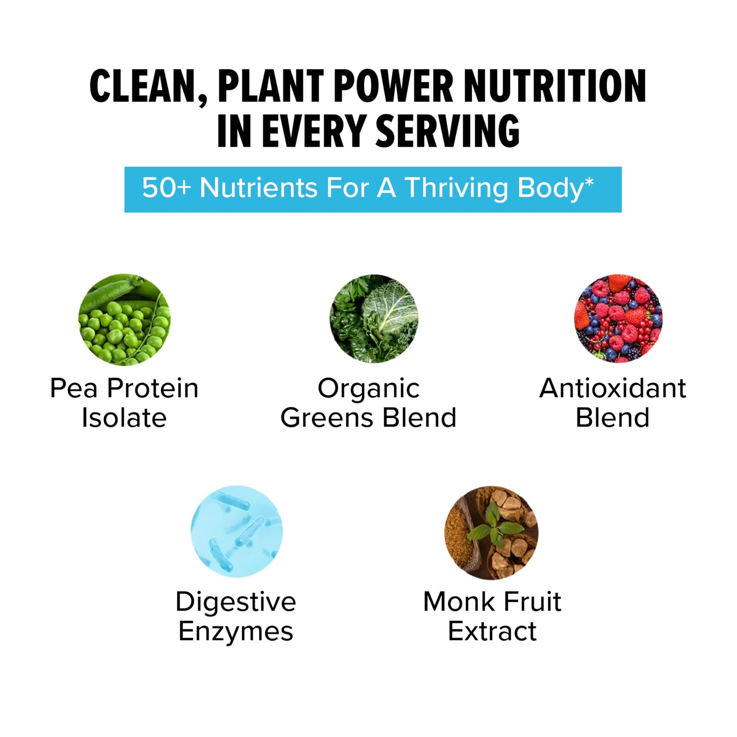 InnoSupps Clean Vegan Protein - Plant Based, Vegan, Natural, No Artificial Sweeteners, No Gluten, No Dairy. Lactose Free, Low Carbs, Low Fat, No Sugar Added, Soy Free, Non-GMO (Lemon Sugar Cookie)