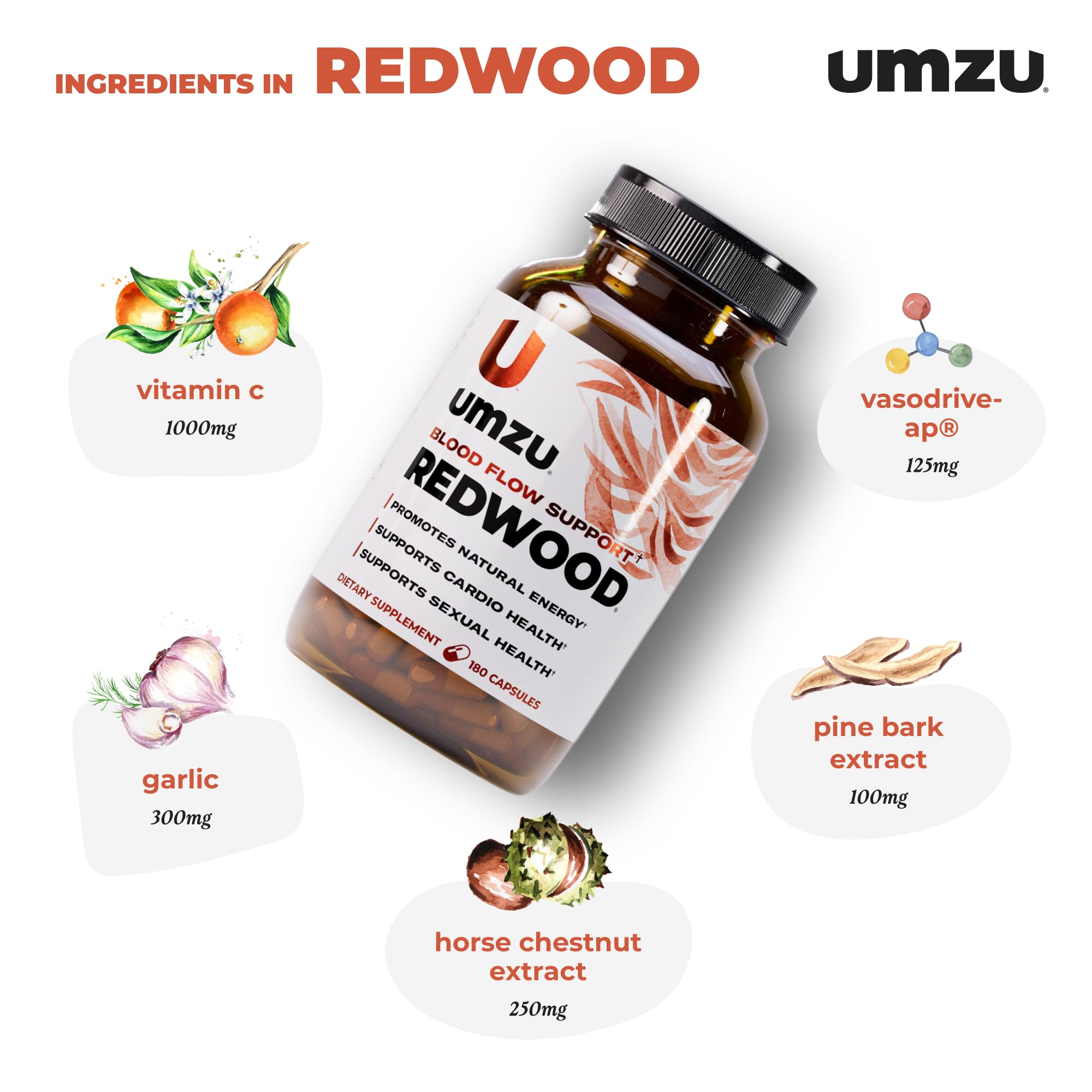 UMZU Redwood Nitric Oxide Booster, (30 Day Supply) – Vitamin C, Garlic & Horse Chestnut – Healthy Circulation & Endurance – Daily Cardiovascular Support Nitric Oxide UMZU buy australia supplements