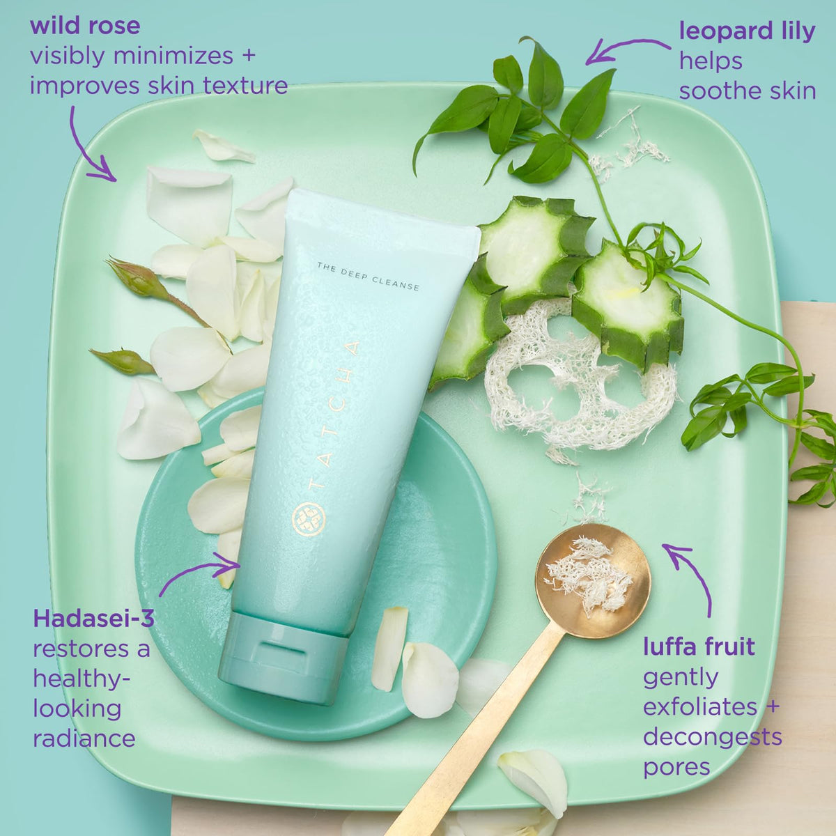 TATCHA The Deep Cleanse, Gentle Exfoliating Face Wash with Wild Rose TATCHA