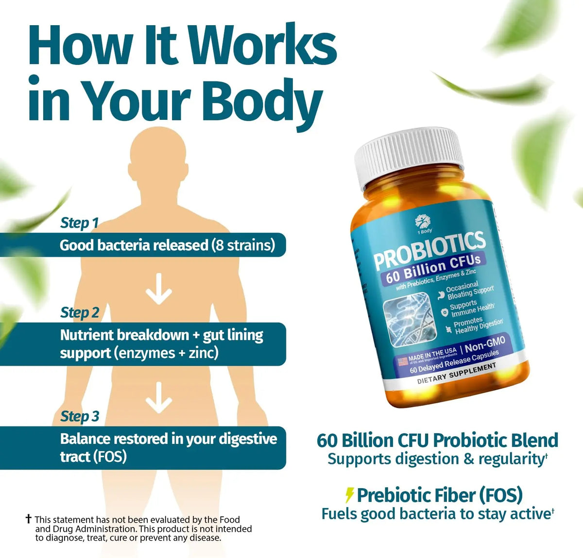 1 Body Probiotic 60 Billion for Men & Women, Gut Health Support with Prebiotics, Digestive Enzymes, Zinc & L-Glutamine, Non-GMO, 60 Vegan Capsules 1 Body