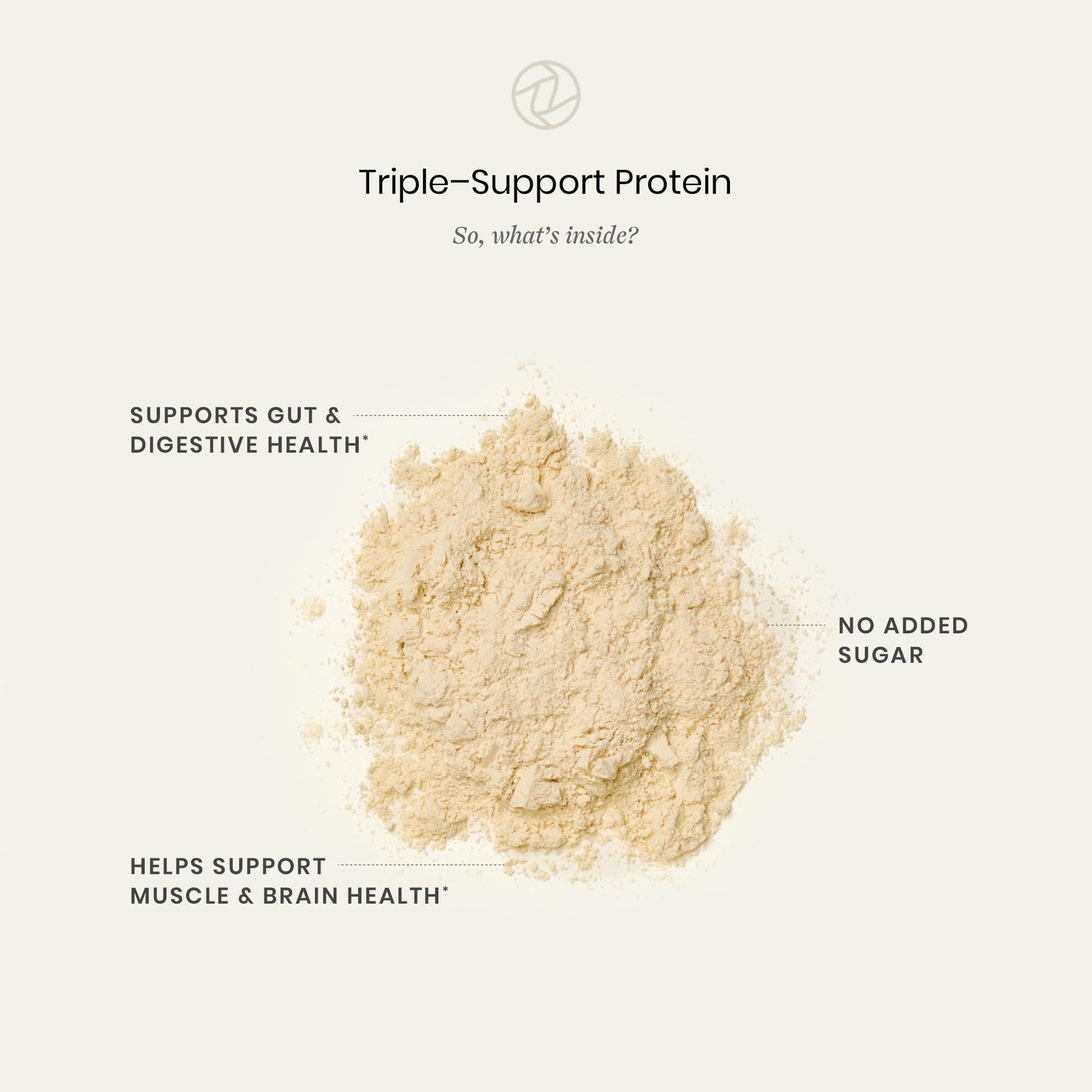 Perelel Triple-Support Plant Based Protein Powder, Creamy Vanilla, 20g Vegan Protein Powder, 3g Creatine Monohydrate, & 5g Prebiotic Fiber per Serving, Dairy Free, Perelel buy australia supplements
