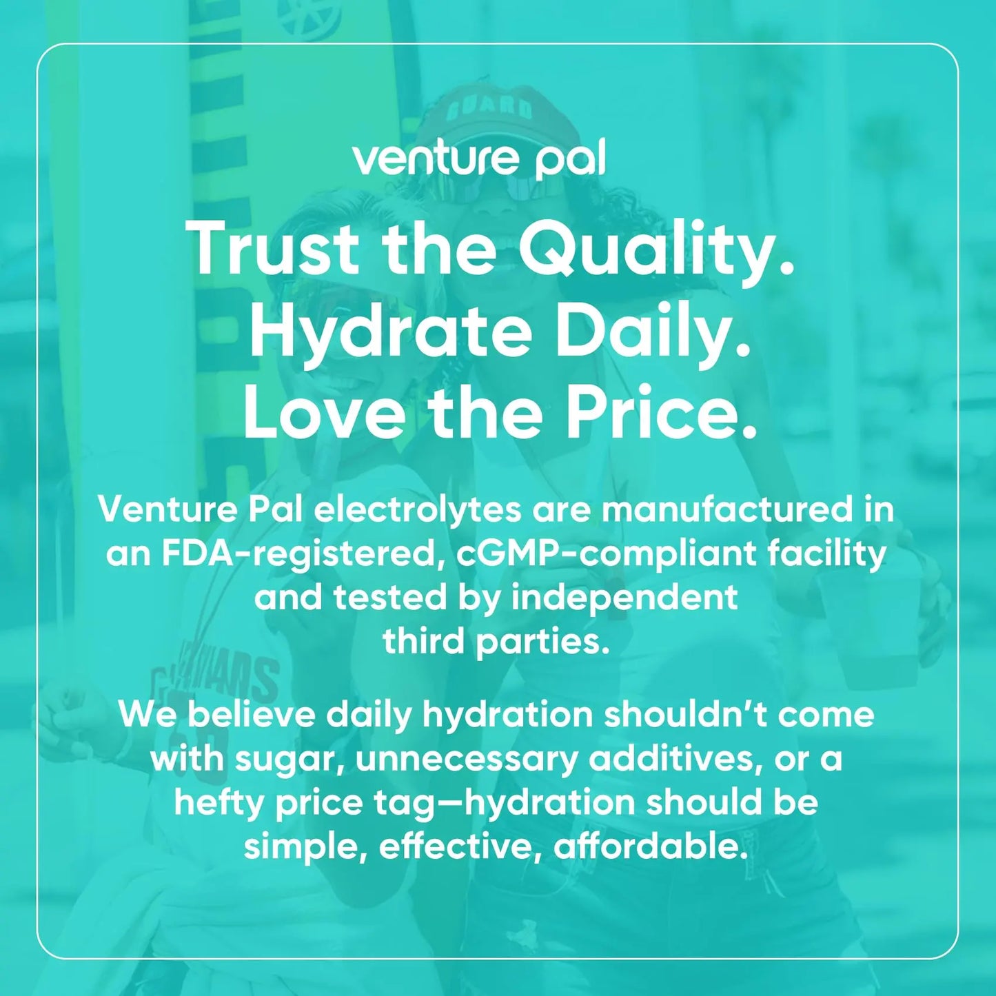 Venture Pal Sugar Free Electrolytes Powder Packets - Liquid Daily IV Hydration Packets | Instantly Hydrating & Party Recovery | 5 Vitamins & 7 Electrolytes Venture Pal