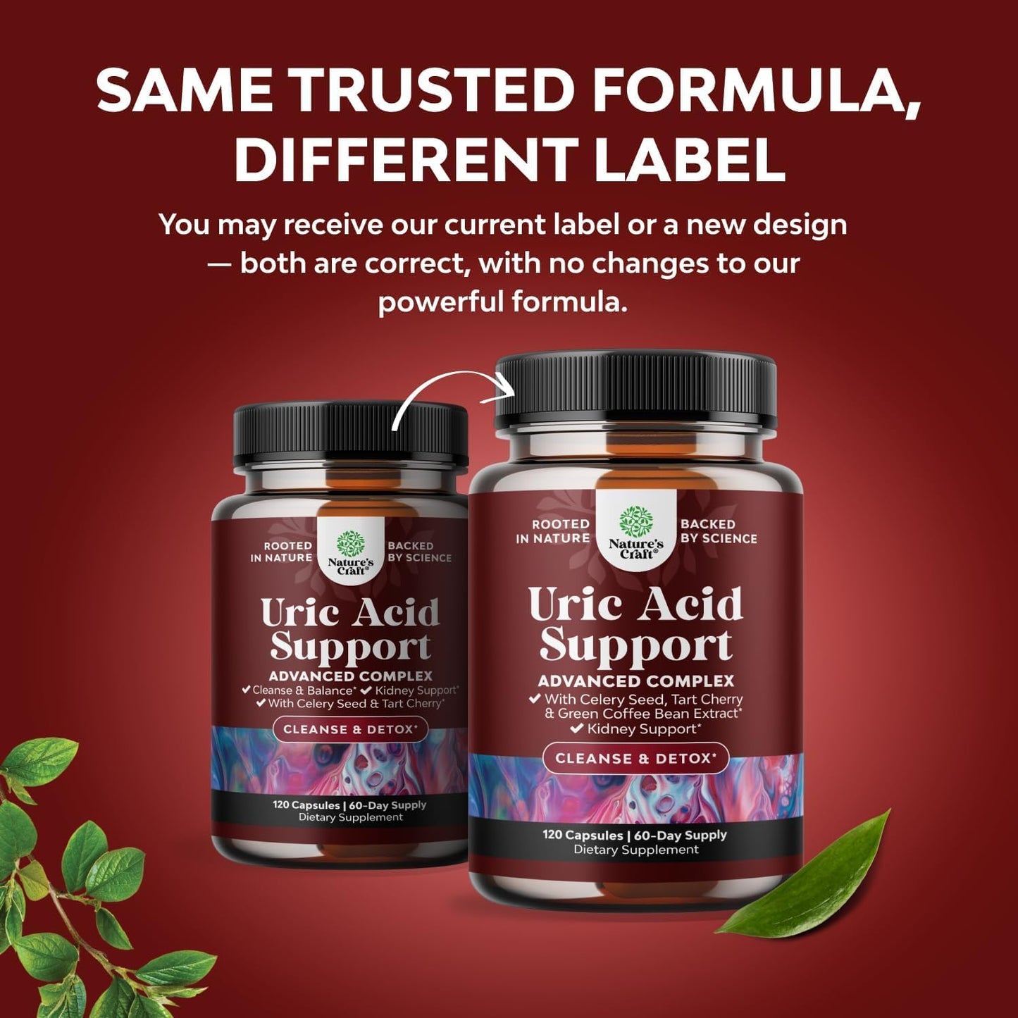 Green Coffee Beans Extract for Uric Acid Cleanse - 120 Capsules | Kidney Support Supplement with Tart Cherry, Chanca Piedra & Celery Seed - Uric Acid Support - Antioxidant Support - Non-GMO Gsupps Australia