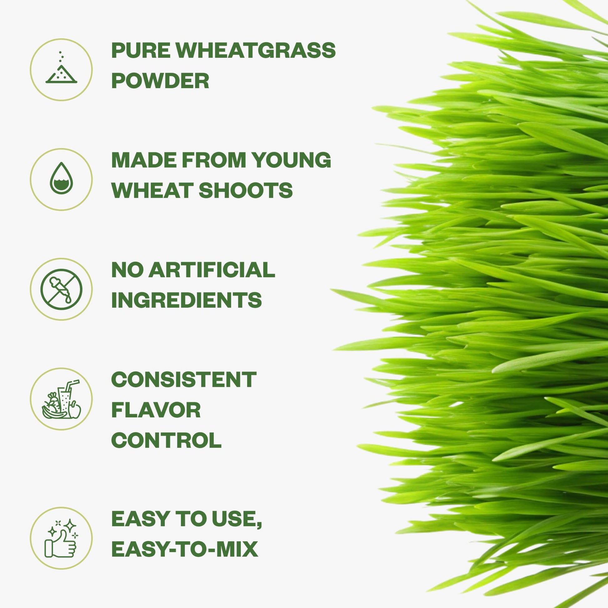 Purisure Wheatgrass Powder, 8oz, Wheat Grass Powder, Green Superfood for Salads, Smoothie and Shakes, Superfood Powder Rich in Immunity Vitamins, Fiber and Minerals, 76 Servings Purisure buy australia supplements