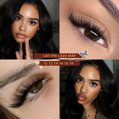 QUEWEL Lash Clusters Kit, 320 Pcs 30D+40D Lash Cluster Eyelash Extensions QUEWEL