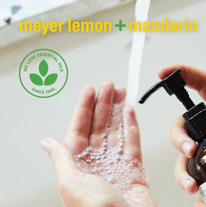 Everyone Liquid Hand Soap, Meyer Lemon & Mandarin, 12.75 oz 3-Pack everyone for every body