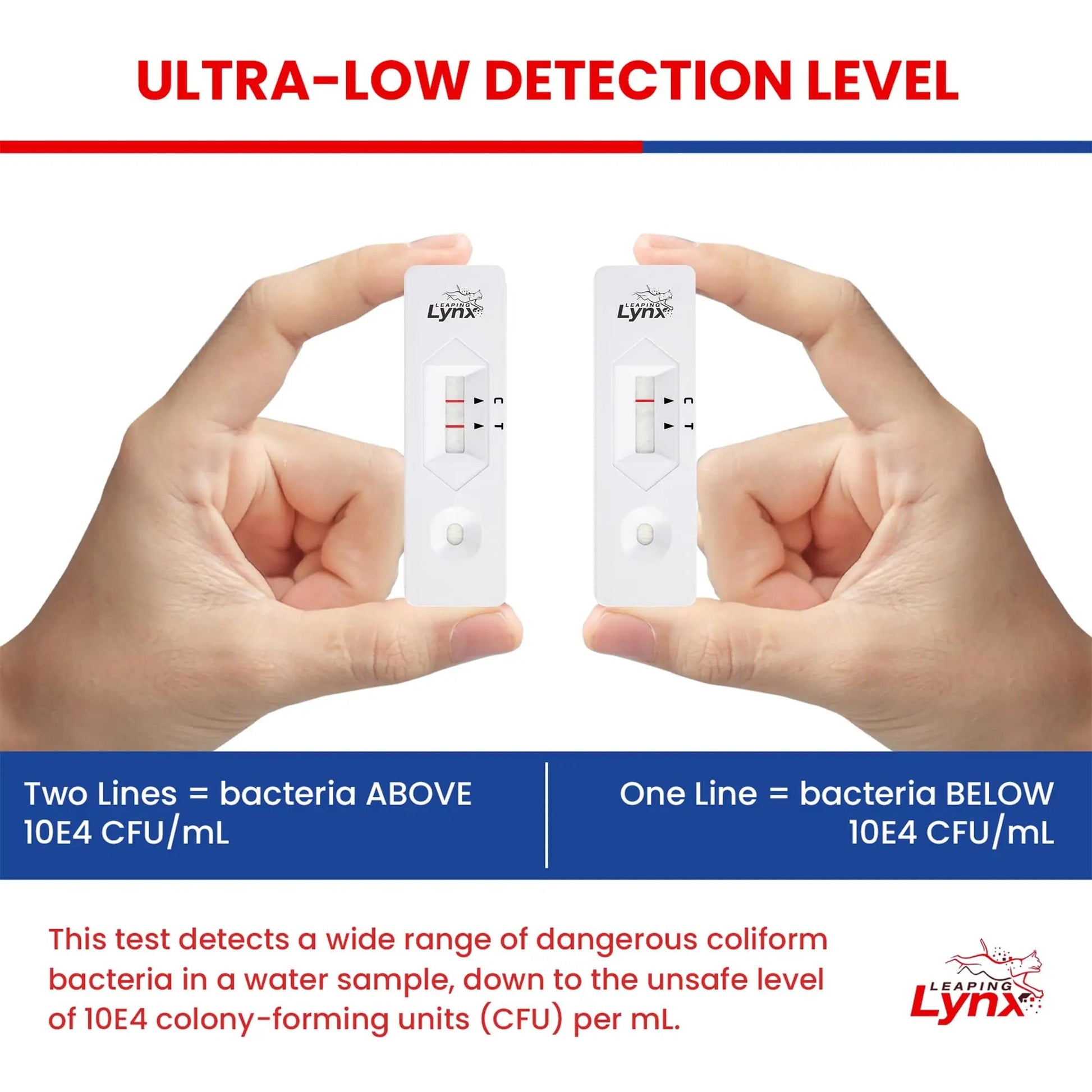 Bacteria Water Test Kit – Coliform, E. coli & Salmonella Detection for Well & Tap Water | Rapid Home Drinking Water Screening Kit with Lab-Quality Results | Leaping Lynx Leaping Lynx buy australia supplements
