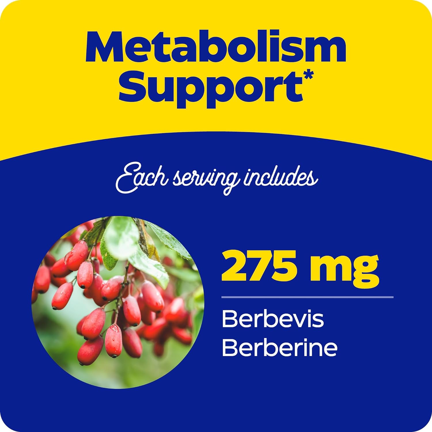 Enzymedica Berberine Phytosome High Absorption Supplement - Berbevis Berberine Phytosome Capsules for Men & Women, Bioavailable Formula, Natural Metabolic Health Support, Vegan, Gluten Free - 60 Caps Gsupps Australia