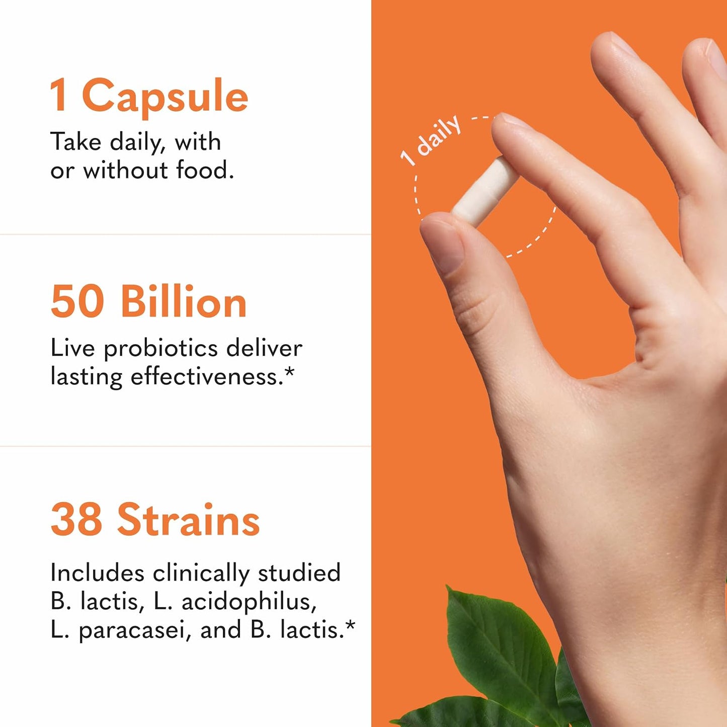 Garden of Life Raw Probiotics Ultimate Care - 100 Billion CFU - Dietary Supplement for Gut Health Support - for Women & Men - 30 Vegetarian Capsules Gsupps Australia