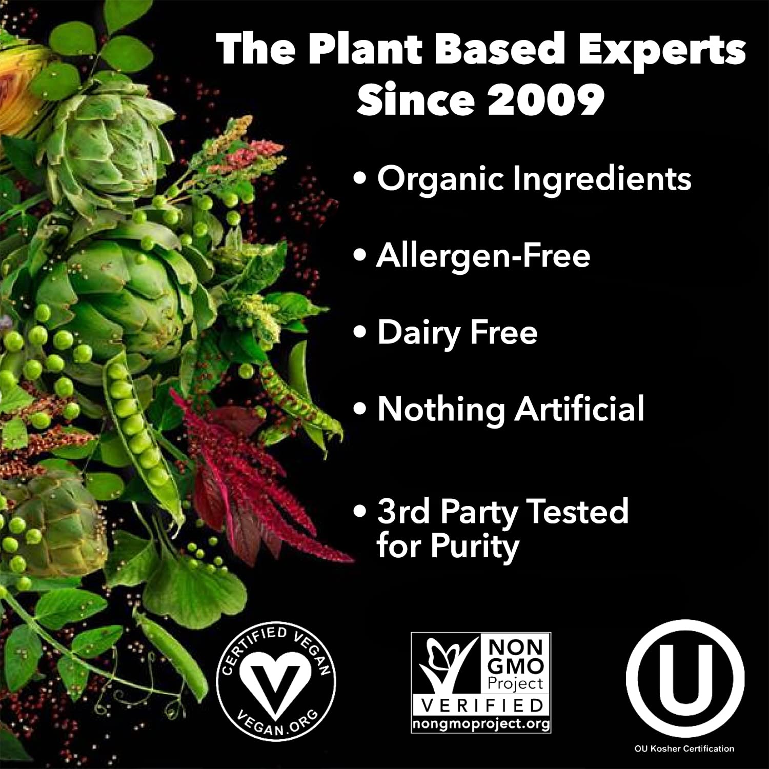 PlantFusion Complete Vegan Protein Powder - Plant Based Protein Powder With BCAAs, Digestive Enzymes and Pea Protein - Keto, Gluten Free, Soy Free, Non-Dairy, No Sugar, Non-GMO - Vanilla Bean 2 lb PlantFusion buy australia supplements