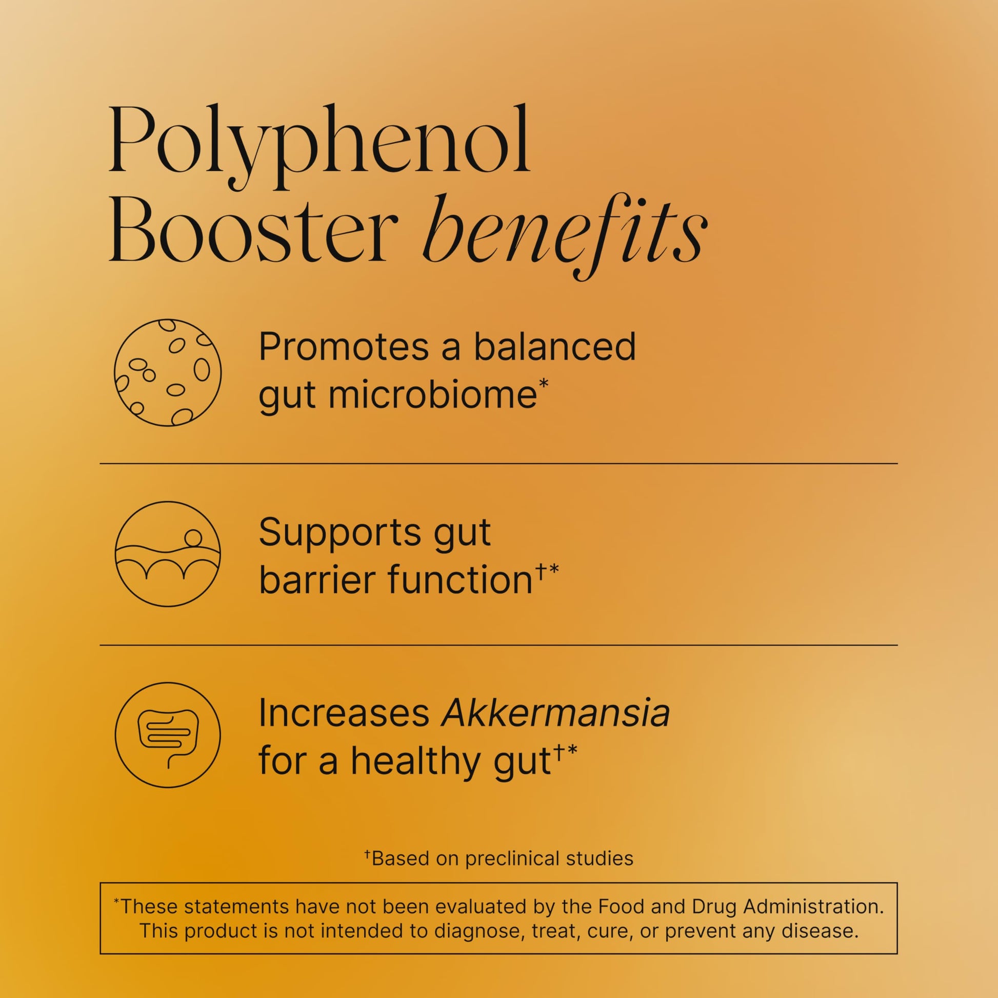 Pendulum Polyphenol Booster, Antioxidant from Superfoods, Beneficial Plant Compounds for Good Health, Helps Boost Akkermansia Muciniphila for Men & Women (60 Capsules, 1-Pack) Pendulum buy australia supplements
