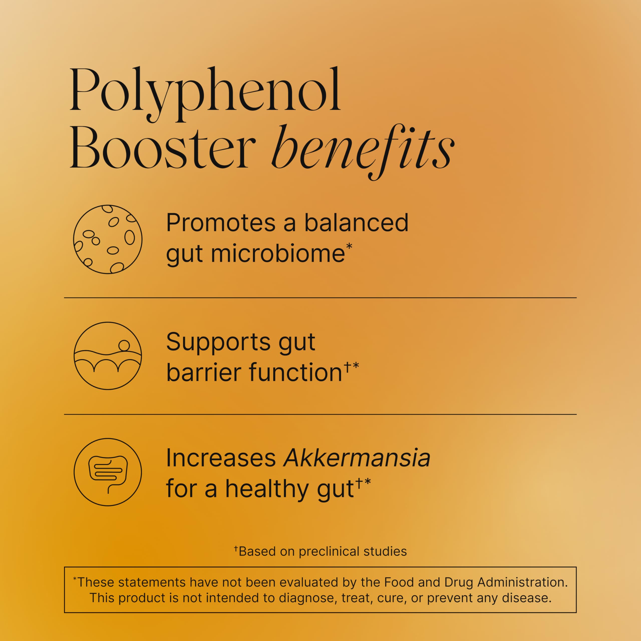 Pendulum Polyphenol Booster, Antioxidant from Superfoods, Beneficial Plant Compounds for Good Health, Helps Boost Akkermansia Muciniphila for Men & Women (60 Capsules, 1-Pack) Pendulum buy australia supplements