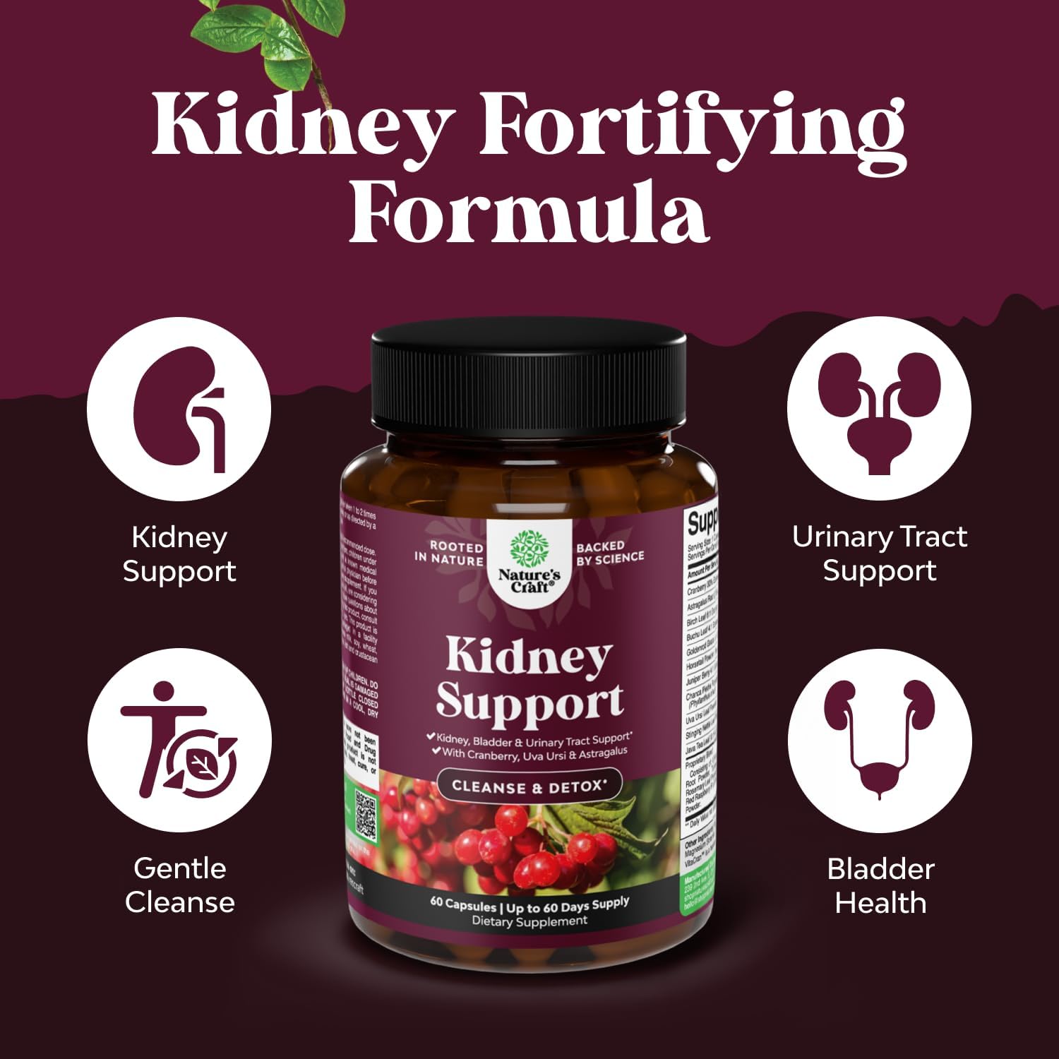 Advanced Kidney Cleanse Support - Cranberry Supplement - 60 Capsules | Kidney Support Supplement with Uva Ursi, Stinging Nettle Leaf & Astragalus - Urinary Tract Support - Vegan - 60 Servings Gsupps Australia