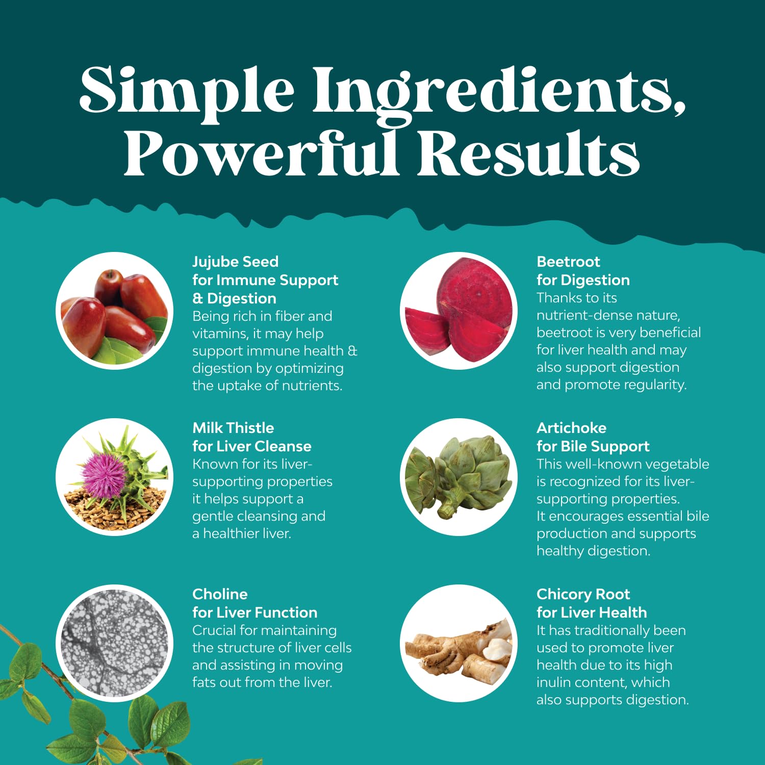 Best Liver Supplements with Milk Thistle - Artichoke - Dandelion Root Support Healthy Liver Function for Men and Women Natural Detox Cleanse Capsules Boost Immune System Relief - Natures Craft | Herbal Detox Support with Ginger, Beetroot & Artichoke - Ber Gsupps Australia