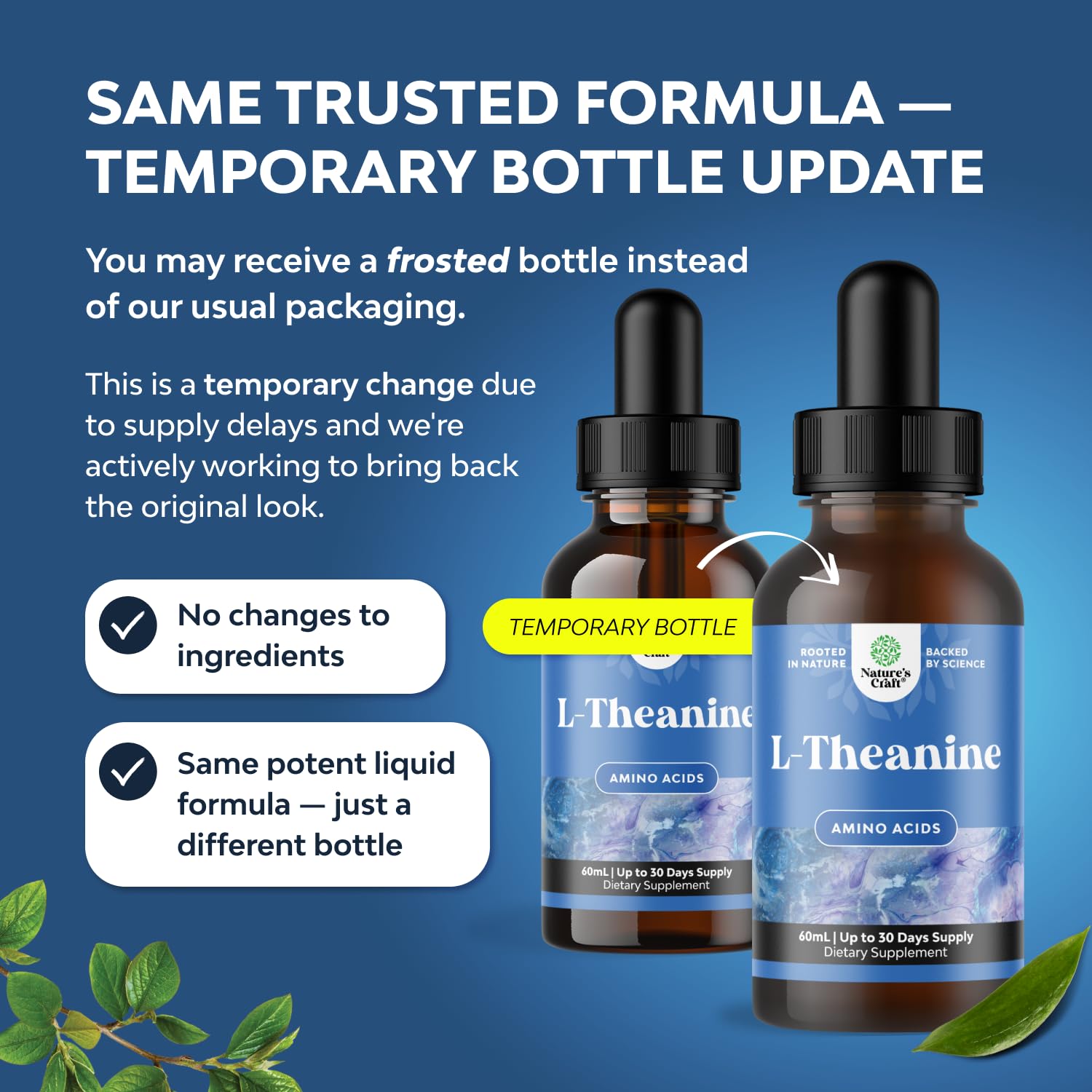 High Absorption L-Theanine Liquid Drops - Nootropic Focus Supplement with L Theanine 200mg Per Serving and Chamomile Extract Supplement for Adults and Kids Relaxation and Focus - 2 Fl Oz Natures Craft buy australia supplements
