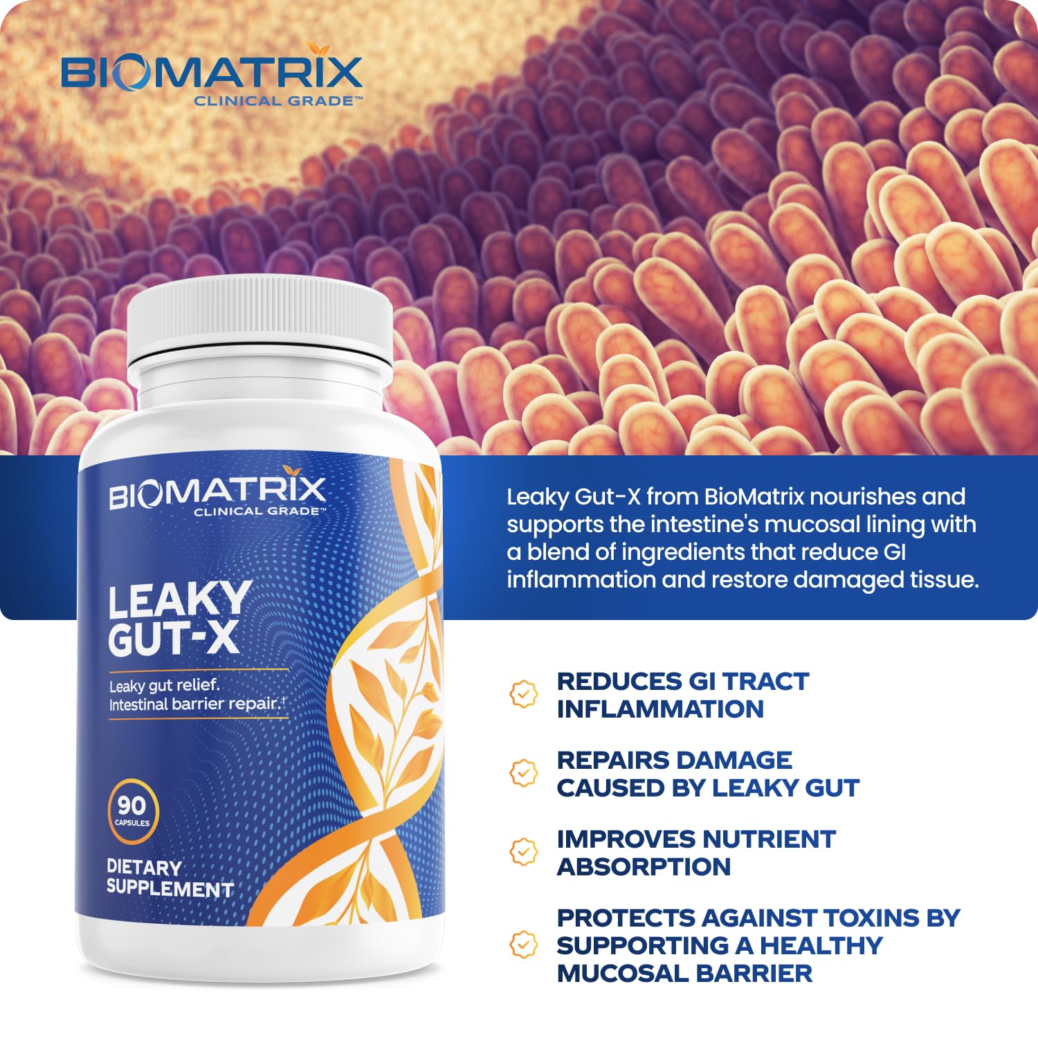 BioMatrix Leaky Gut Repair Supplement w/Glutamine, Quercetin, Cat's Claw, MSM, SIBO, Prebiotic Support, Intestinal Barrier Revive for Men and Women | 60-Day Supply – Leaky Gut-X BioMatrix buy australia supplements