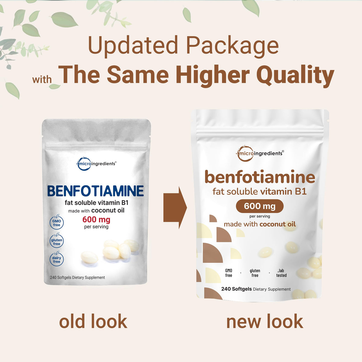 Vitamin B1 Benfotiamine 600mg Per Serving, 240 Coconut Oil Softgels | Bioavailable B Vitamins Supplement, Converted to Active Thiamine | Non-GMO, Soy Free Micro Ingredients