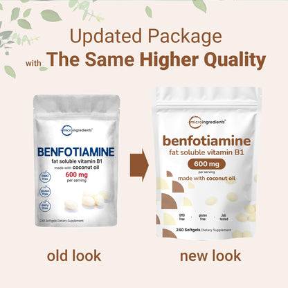 Vitamin B1 Benfotiamine 600mg Per Serving, 240 Coconut Oil Softgels | Bioavailable B Vitamins Supplement, Converted to Active Thiamine | Non-GMO, Soy Free Micro Ingredients