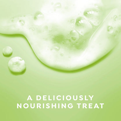 Dove Limited Edition Holiday Treats Body Wash Pear Harvest for Deep Nourishment 20 fl oz Dove