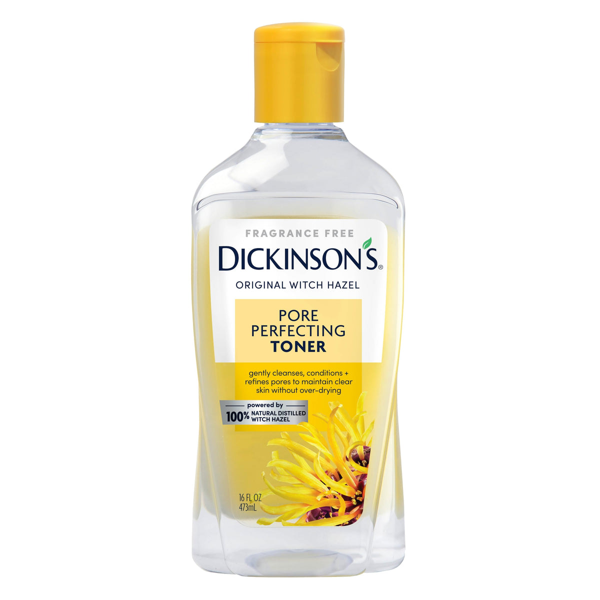Dickinson's Witch Hazel Pore Perfecting Toner | 16 Fl Oz Dickinson's