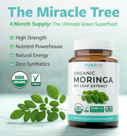 USDA Organic Moringa Capsules - High Potency Organic Moringa 500mg Extract 10:1 Per 1 Capsule Serving - Nutrient Dense Green Superfood Antioxidant PURE CO