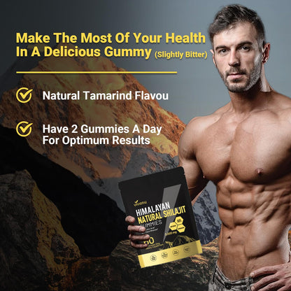 Himalayan9 Shilajit Gummies with Ashwagandha & Gokshura | 85+ Trace Minerals & Fulvic Acid | Organic, Non-GMO Micronutrient Supplement VivoNu