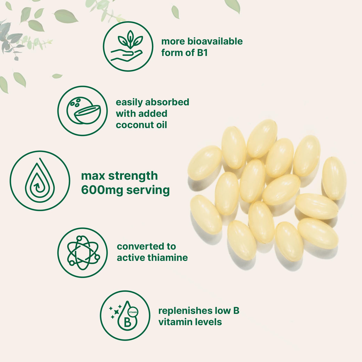 Vitamin B1 Benfotiamine 600mg Per Serving, 240 Coconut Oil Softgels | Bioavailable B Vitamins Supplement, Converted to Active Thiamine | Non-GMO, Soy Free Micro Ingredients