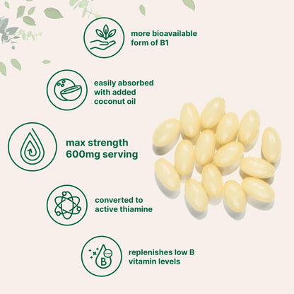 Vitamin B1 Benfotiamine 600mg Per Serving, 240 Coconut Oil Softgels | Bioavailable B Vitamins Supplement, Converted to Active Thiamine | Non-GMO, Soy Free Micro Ingredients