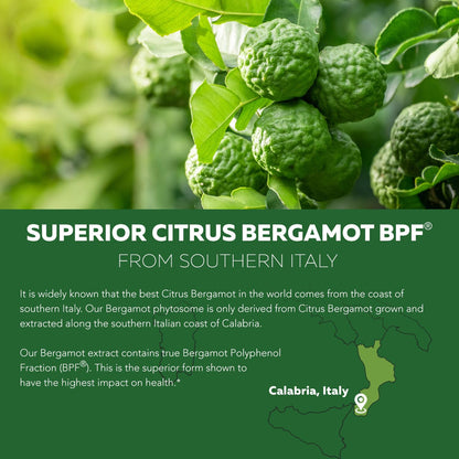 SoActive Bergamot: 2.5X More Effective, Italian Citrus Bergamot Phytosome - Clinically Validated | Enhanced with Grape Seed Extract Triquetra Health